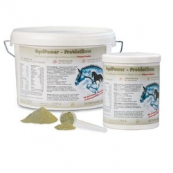 EQUIPOWER Probiotikum 750 g